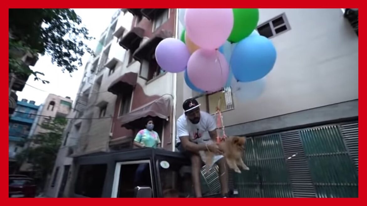 YouTuber na gumamit ng lobo para ‘paliparin’ ang alagang aso, umani ng batikos